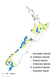 Lycopodiella diffusa distribution map based on databased records at AK, CHR & WELT.
 Image: K.Boardman © Landcare Research 2019 CC BY 4.0